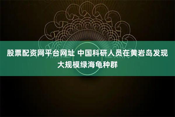 股票配资网平台网址 中国科研人员在黄岩岛发现大规模绿海龟种群
